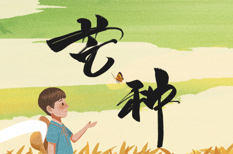 贵州二十四节气 | 芒种