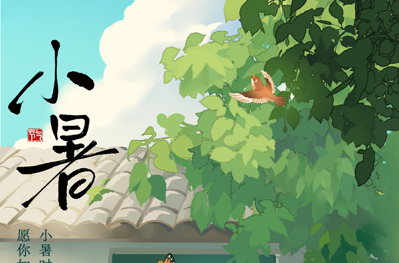 贵州小暑|悄然贵州小暑至，悠悠盛夏始
